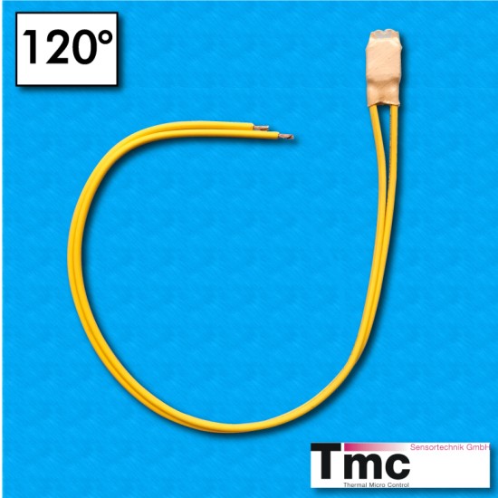 Protettore termico C1B - Temperatura 120°C - Cavetti Radox 300/300 mm - Portata 2,5A