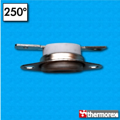 Thermostat TK24-HT at 250°C...