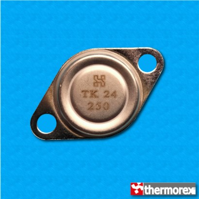 Thermostat TK24-HT at 250°C...