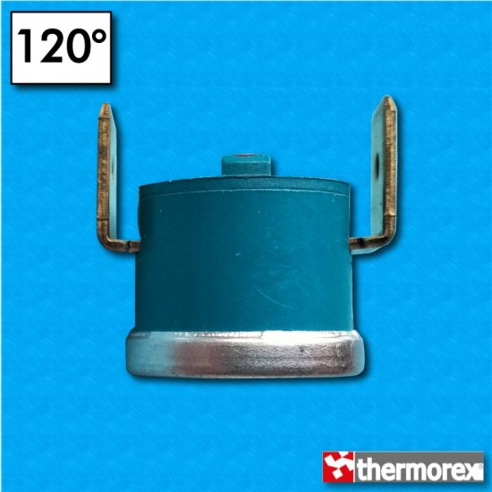 Thermostat TY60 at 120°C - Normally closed contacts - Vertical terminals - Without fixing - Rated current 10A