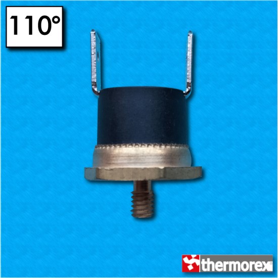 Thermostat TK24 110°C - Normally closed contacts - Terminaux vertical - Fixation avec vis M4 - Base hexagonal - Corps haut