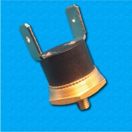 Thermostat TK24 110°C - Normally closed contacts - Terminaux vertical - Fixation avec vis M4 - Base hexagonal - Corps haut