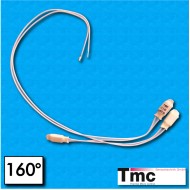 Thermal protector C1B - Temperature 160°C - FEP cables 300/100/100/300 mm - Rated current 2,5A