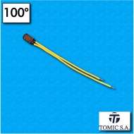 Thermal protector AM01 - Temperature 100°C - Cables 100/85 mm - Rated current 2,5A