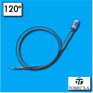 Protector termico AM03 - Temperatura 120°C - Cables 300/300 mm - Corriente nominal 2,5A