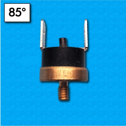 Thermostat R30 au 85°C -...