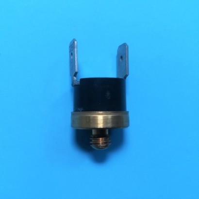 Thermostat R40 at 132°C -...